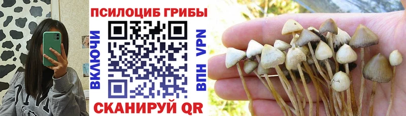 Псилоцибиновые грибы ЛСД  как найти наркотики  Сибай 